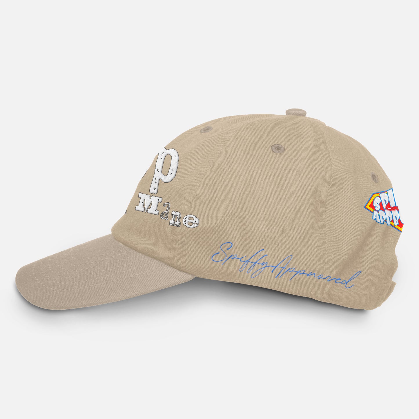 Stop the BS Dad Hat